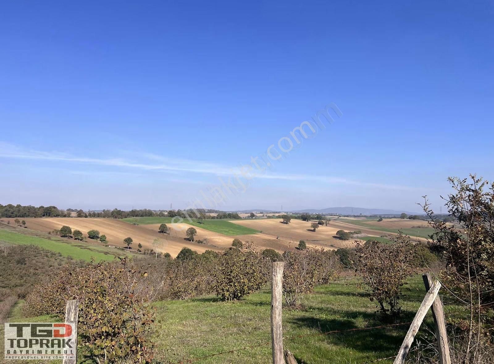 Karadavutlu Köyünde Yola Cephe 5935m² - Görsel 6
