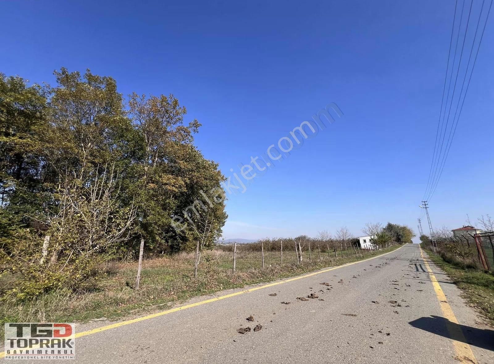 Karadavutlu Köyünde Yola Cephe 5935m²