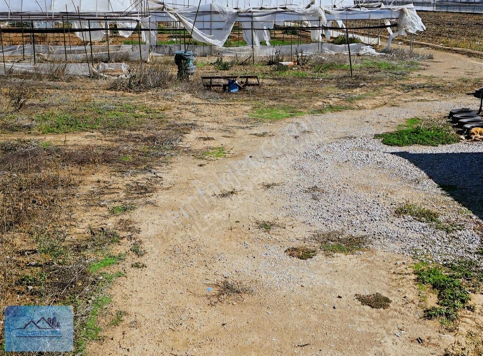 Menderes Tekeli De Tek Tapu 15 Dönüm Satılık Tarla - Görsel 12