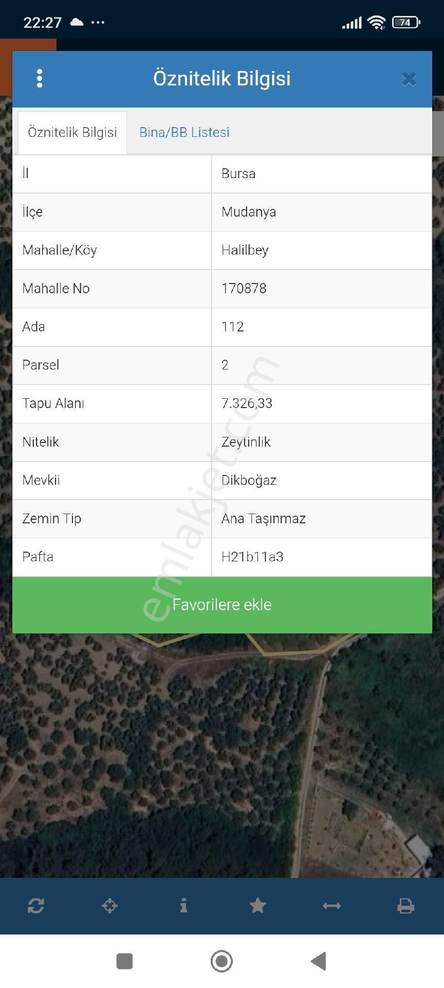 Mudanya Tirilye Yola Cephe Zeytinlik - Görsel 7