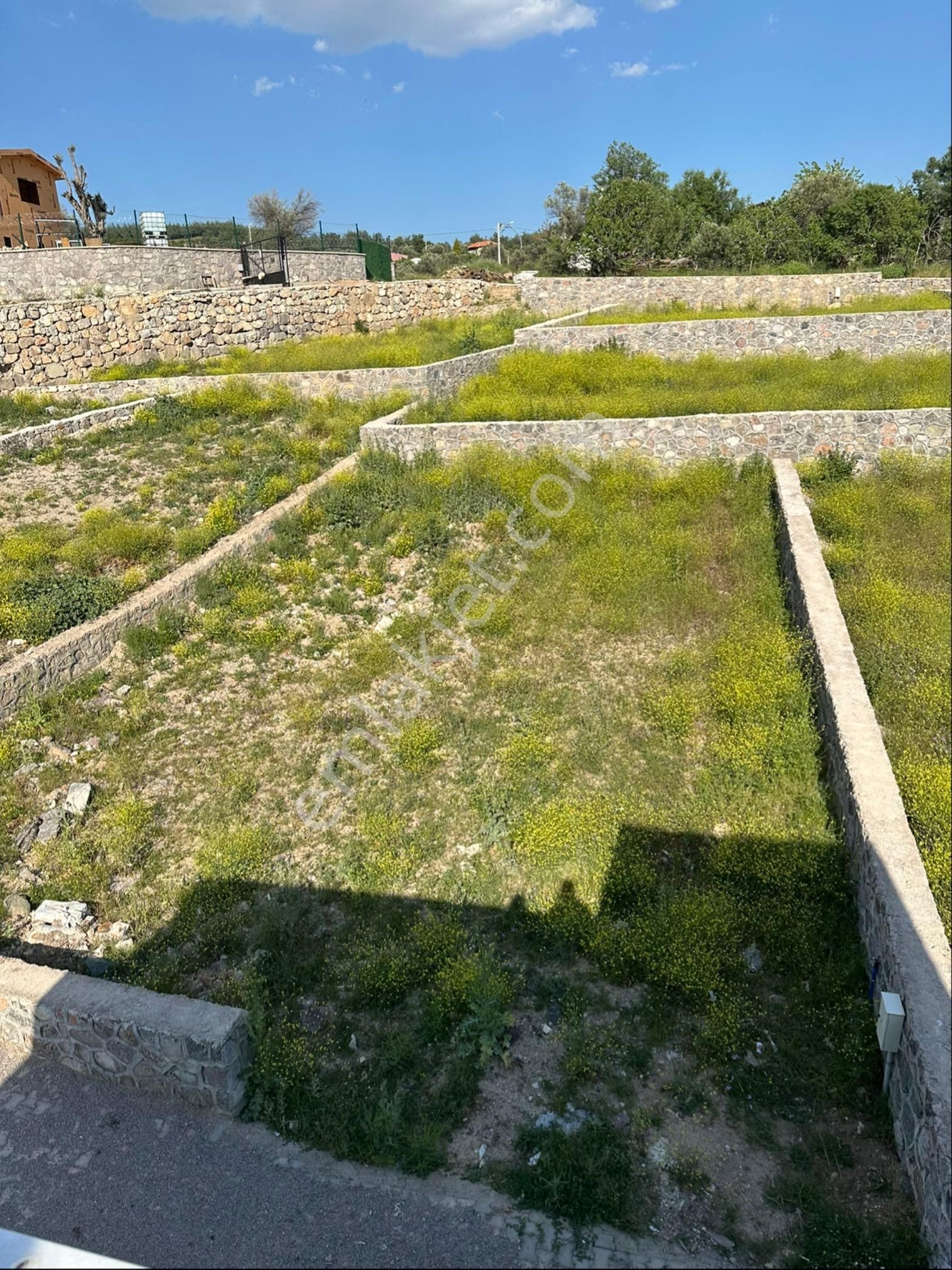 Fırsat!!!kemalpaşa Kuyucak Köy İçi – 300 M² İmarlı Arsa | Yatırıma Uygun, Taş Duvarlı Parseller - Görsel 2