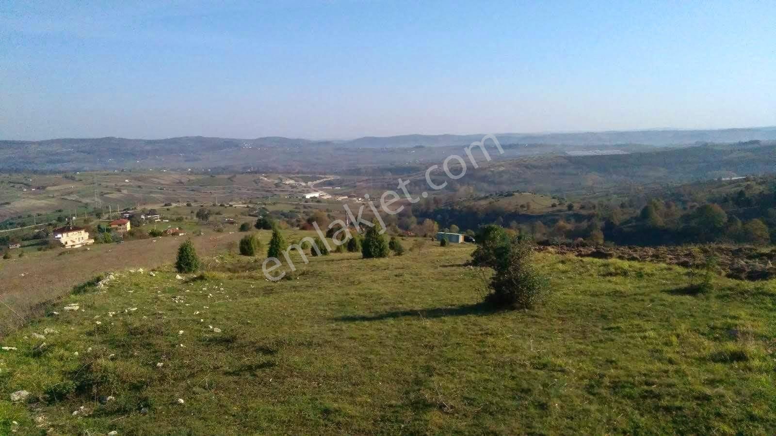 Kandıra'da Resmi Yola Ve İmara 15 M-köye 250 M. Yatırım Fırsatı