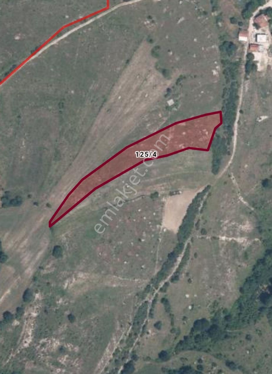 Kandıra'da Resmi Yola Ve İmara 15 M-köye 250 M. Yatırım Fırsatı - Görsel 5