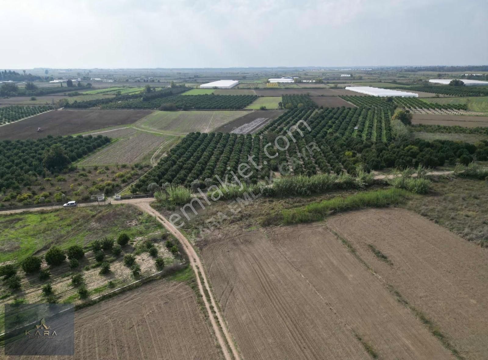 Satılık Müstakil Tarla Antalya Serik Boğazkent, Denize 2 Km Me - Görsel 4