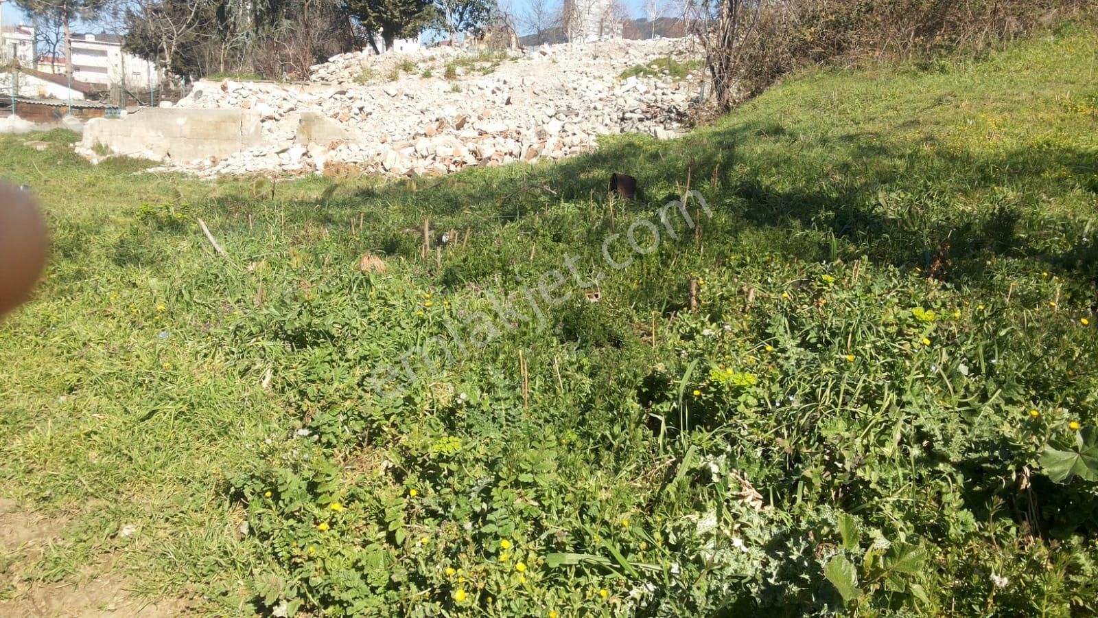 Şile Ahmetlide % 45 Kat Karşılığı Villa İmarlı Düşeş Kazandıracak Arsa No:87