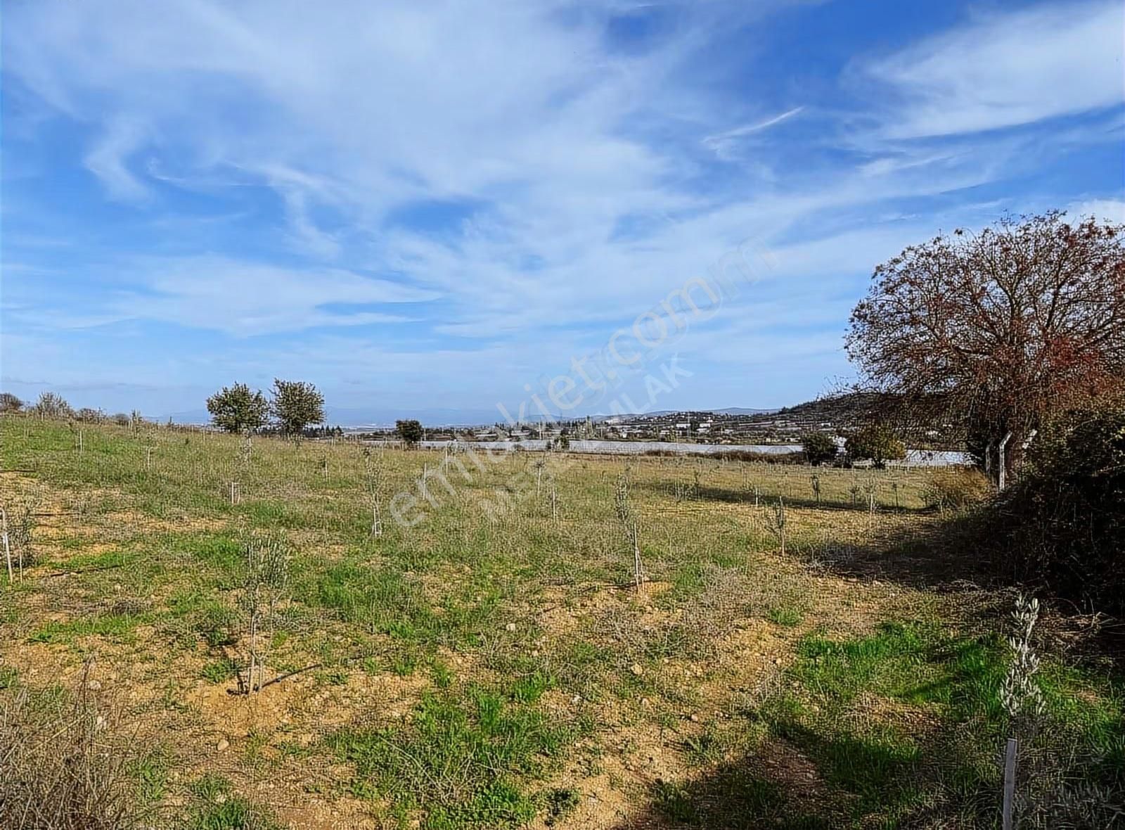 Menderes Değirmendere'de Satılık Hisse Tapu - Görsel 6