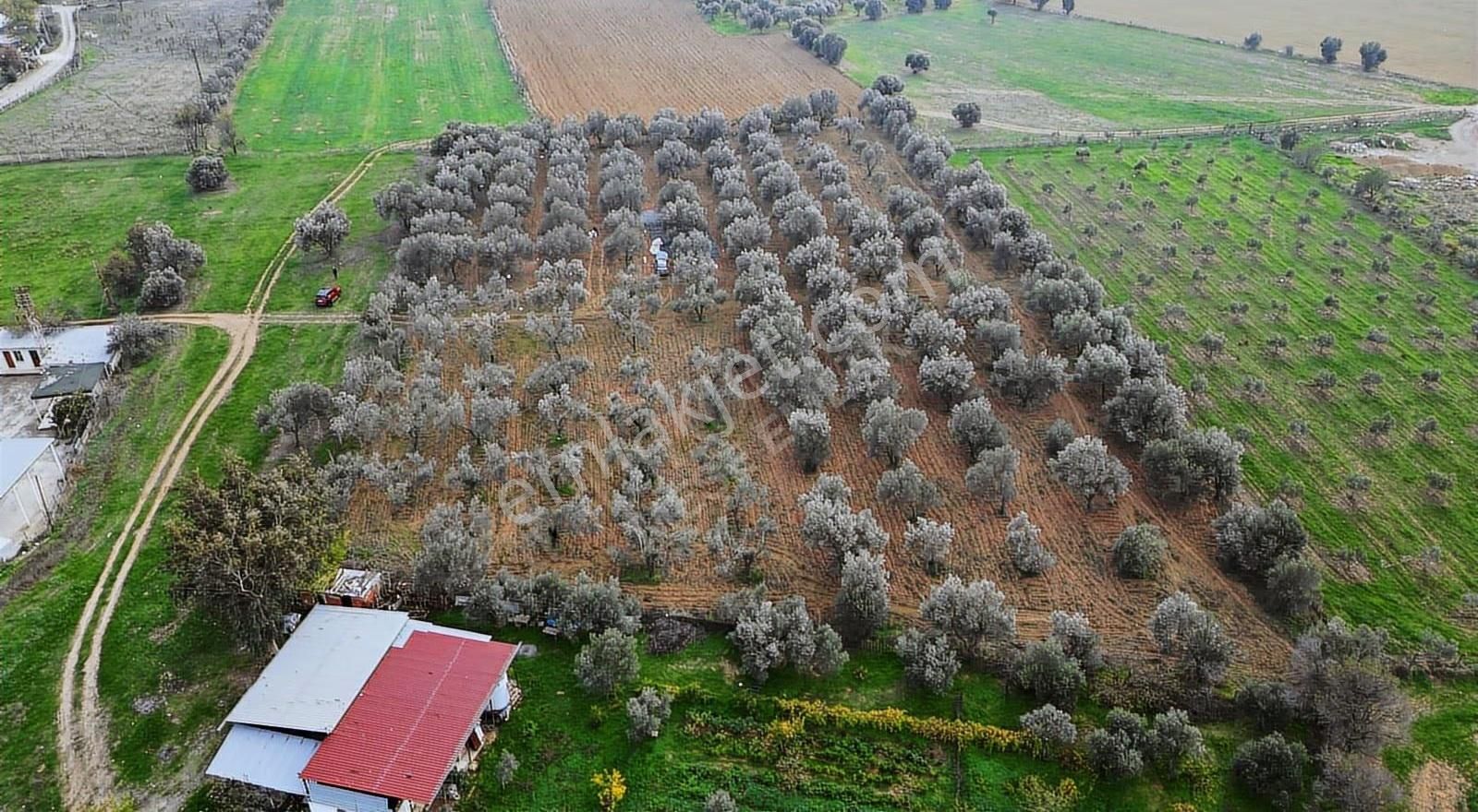 Menderes Gölcükler Mahallesi Satılık İmar İçi Tarla - Görsel 2