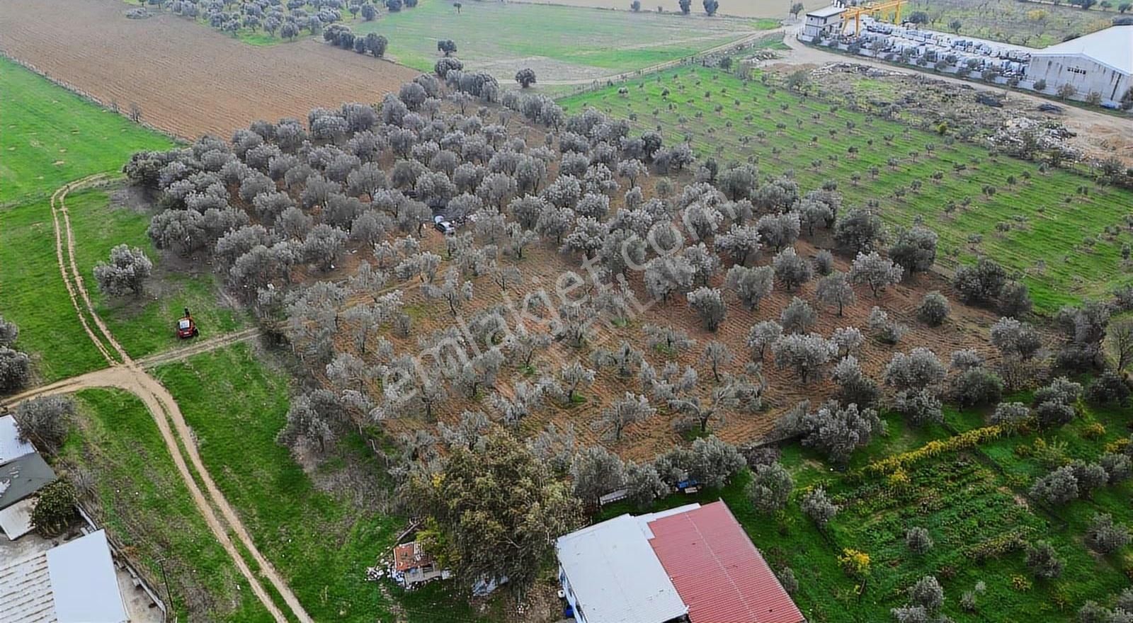 Menderes Gölcükler Mahallesi Satılık İmar İçi Tarla - Görsel 7