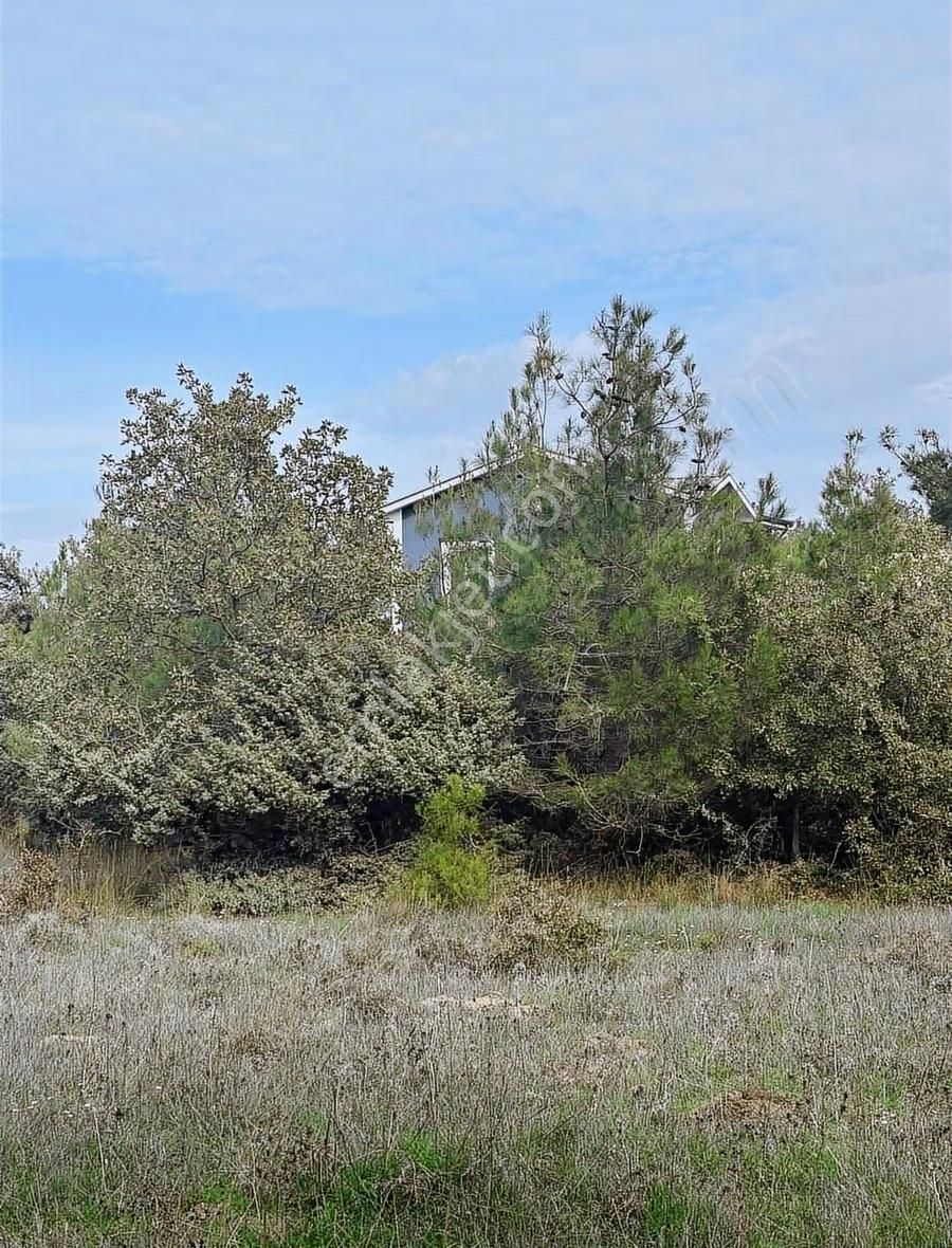 Çanakkale Ezine Kumburun Sahile Yakın Arazi - Görsel 13