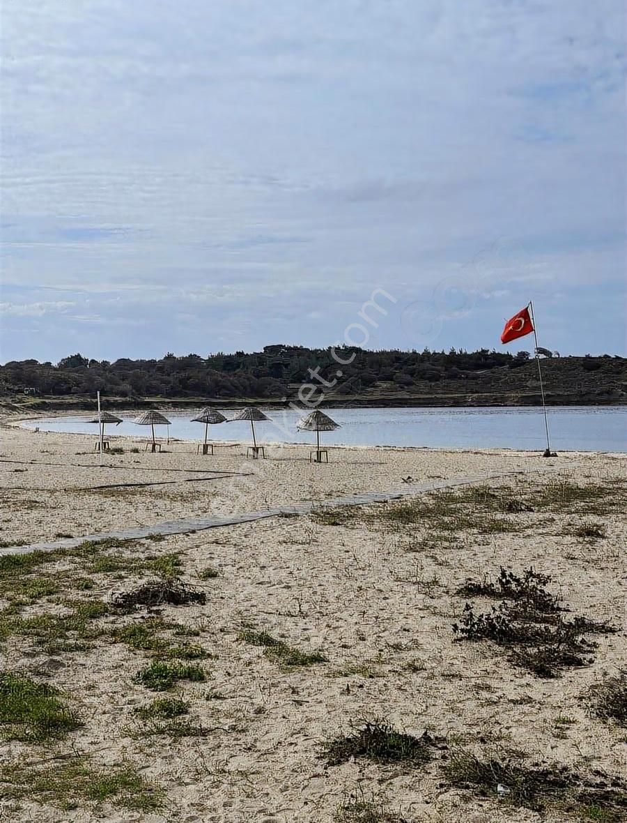 Çanakkale Ezine Kumburun Sahile Yakın Arazi