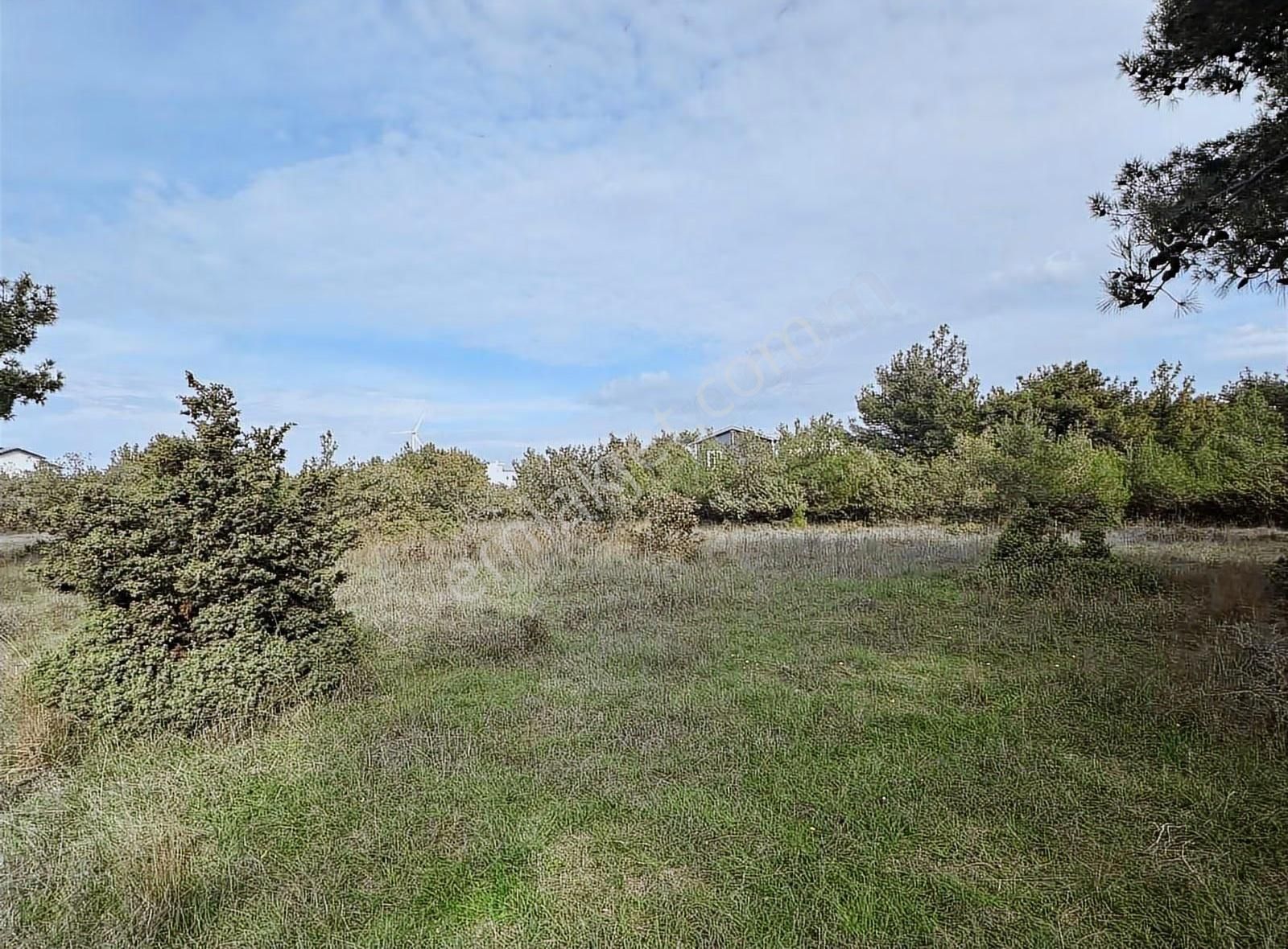 Çanakkale Ezine Kumburun Sahile Yakın Arazi - Görsel 23