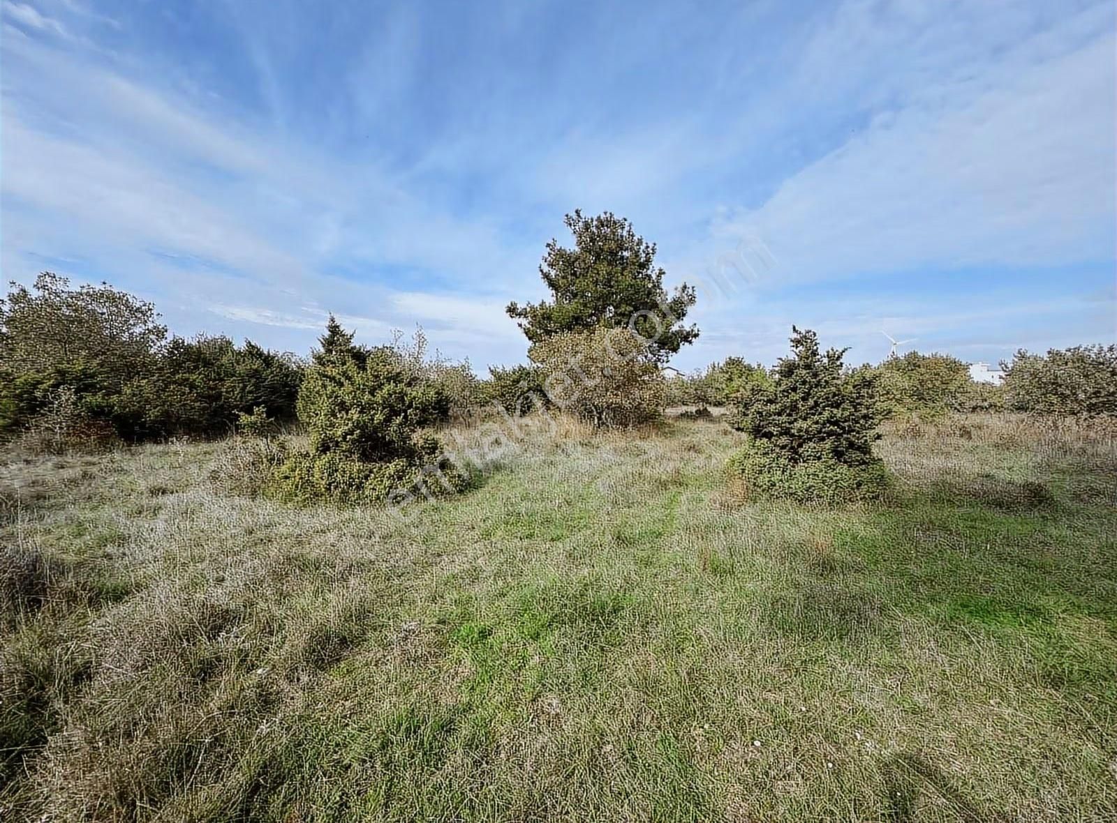 Çanakkale Ezine Kumburun Sahile Yakın Arazi - Görsel 17