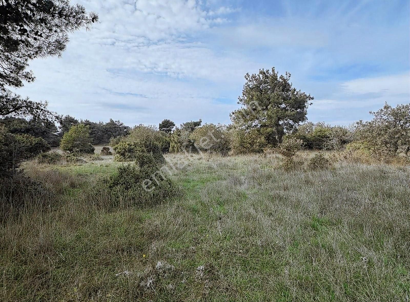 Çanakkale Ezine Kumburun Sahile Yakın Arazi - Görsel 26