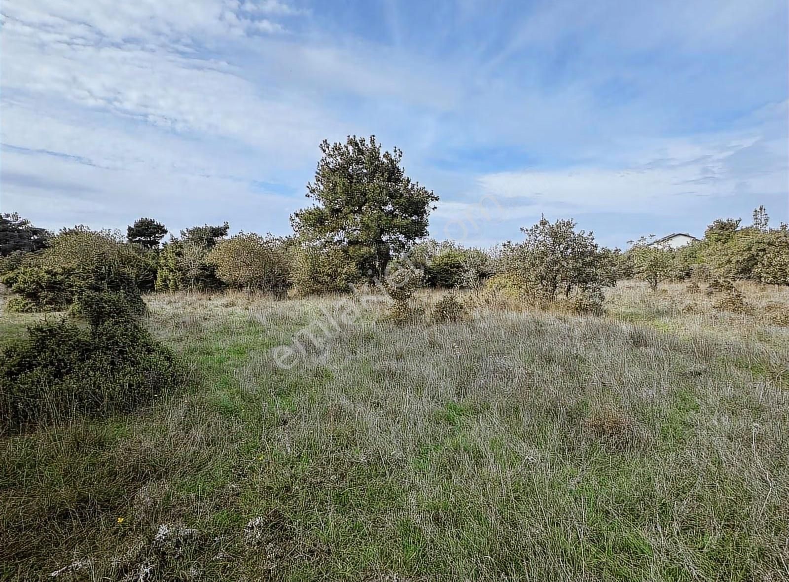 Çanakkale Ezine Kumburun Sahile Yakın Arazi - Görsel 27