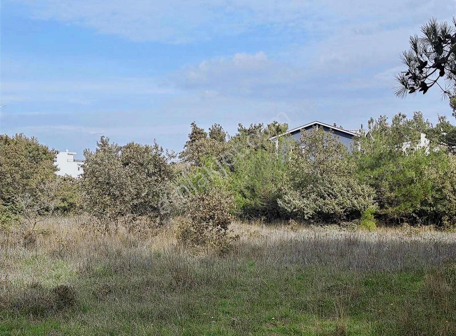 Çanakkale Ezine Kumburun Sahile Yakın Arazi - Görsel 19