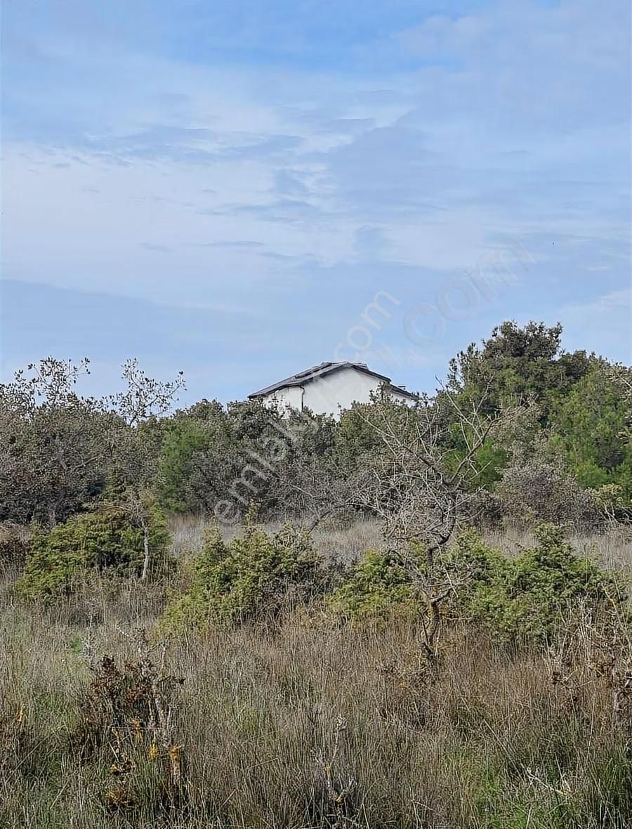 Çanakkale Ezine Kumburun Sahile Yakın Arazi - Görsel 11