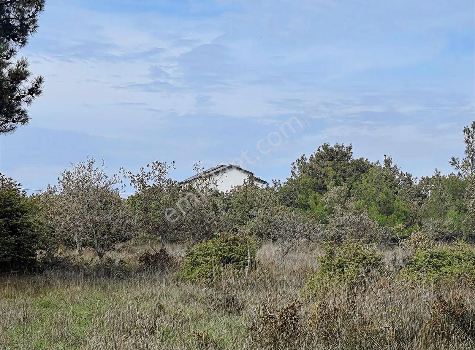 Çanakkale Ezine Kumburun Sahile Yakın Arazi - Görsel 18