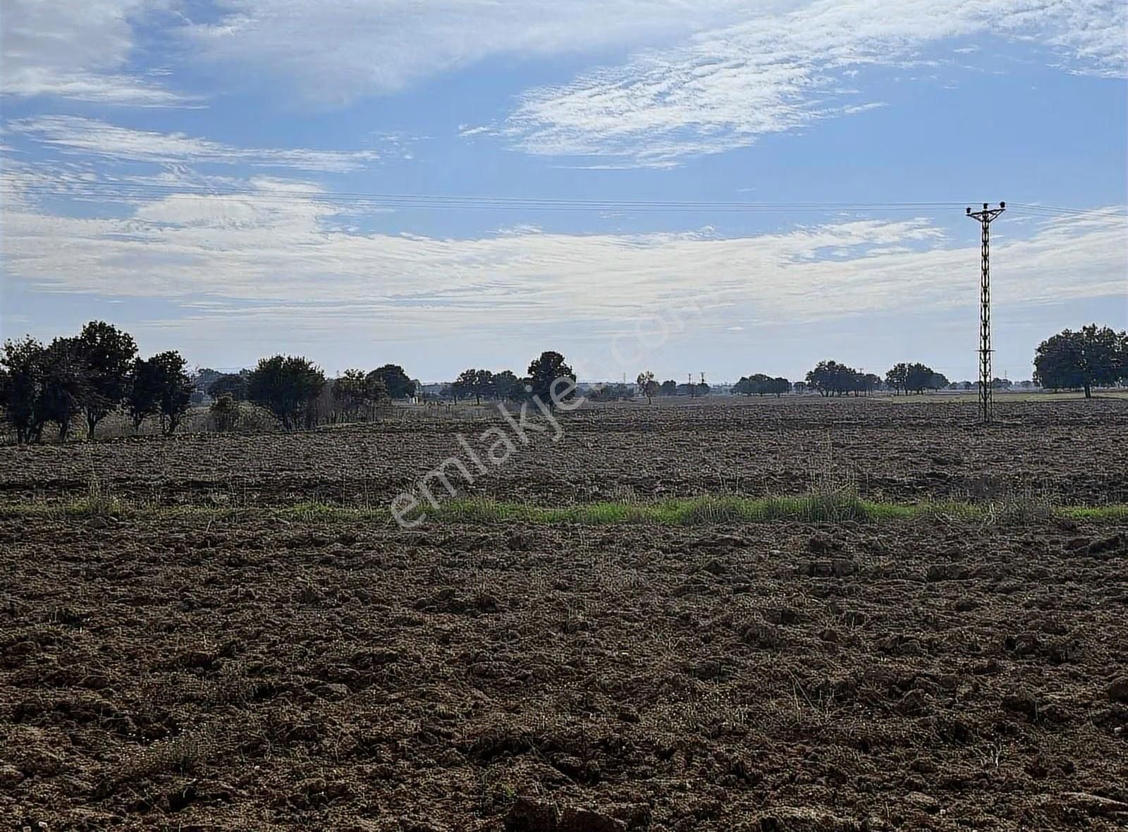Çanakkale Ezine Kumburun 7.864 M2 Arazi - Görsel 9