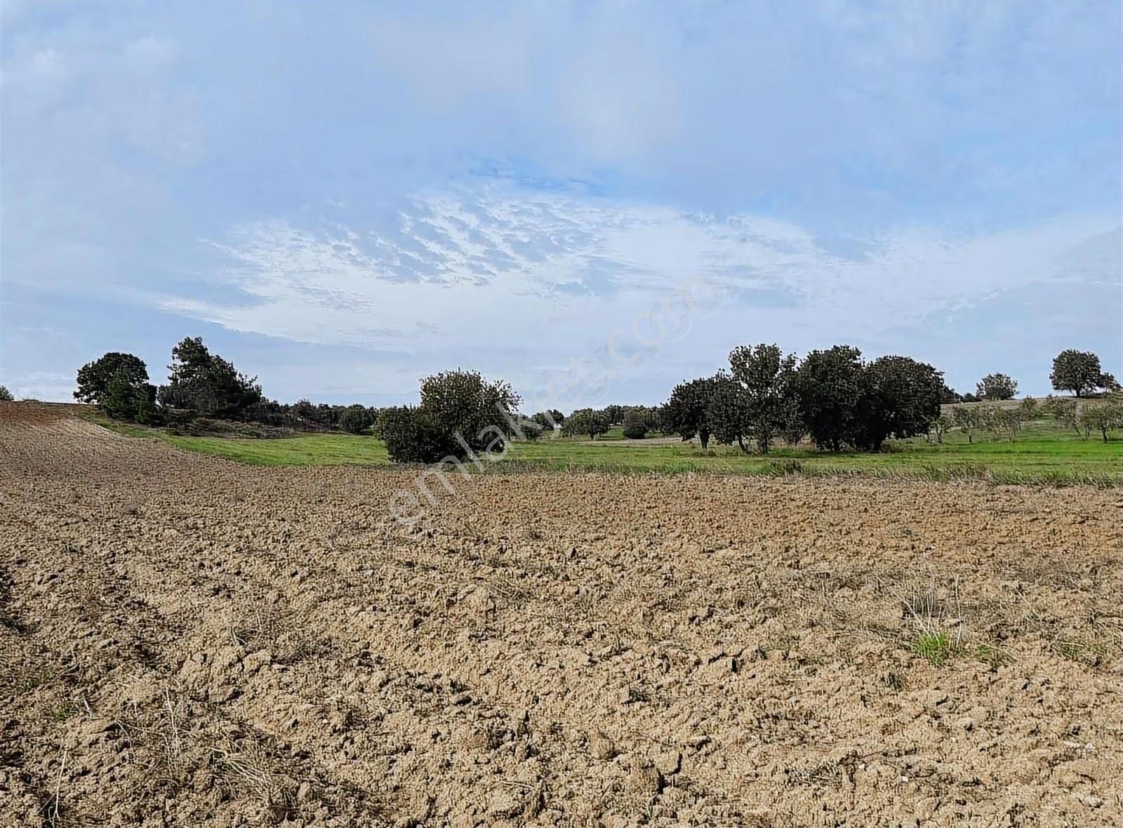 Çanakkale Ezine Kumburun 7.864 M2 Arazi - Görsel 26