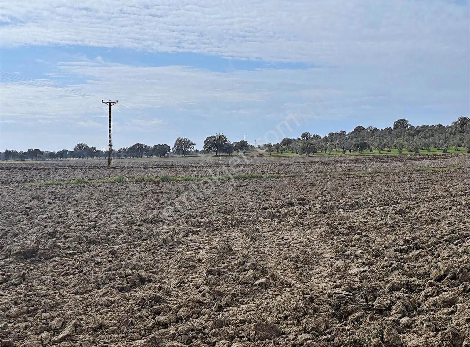 Çanakkale Ezine Kumburun 7.864 M2 Arazi - Görsel 12