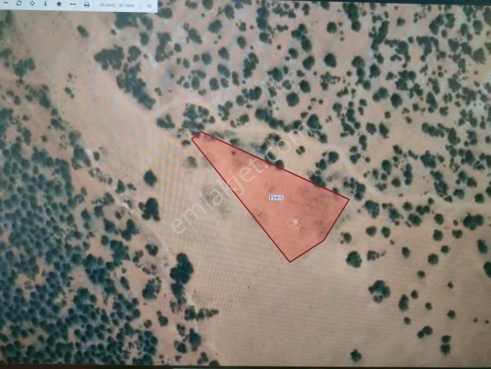 Antalya Korkuteli Sımandırda 2764m²satılık Yatırımlık Arsa - Görsel 3