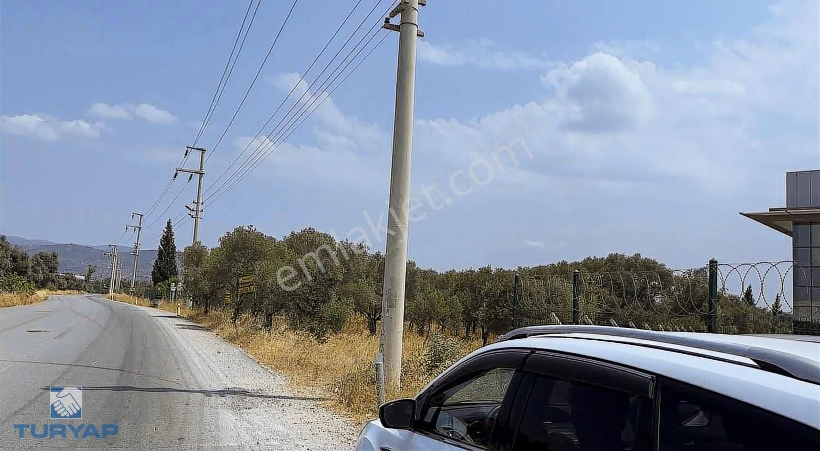 Torbalı Gazi Mustafa Kemal Mah 8274 M2 Zeytinlik Bağ Bahçe Dam - Görsel 4