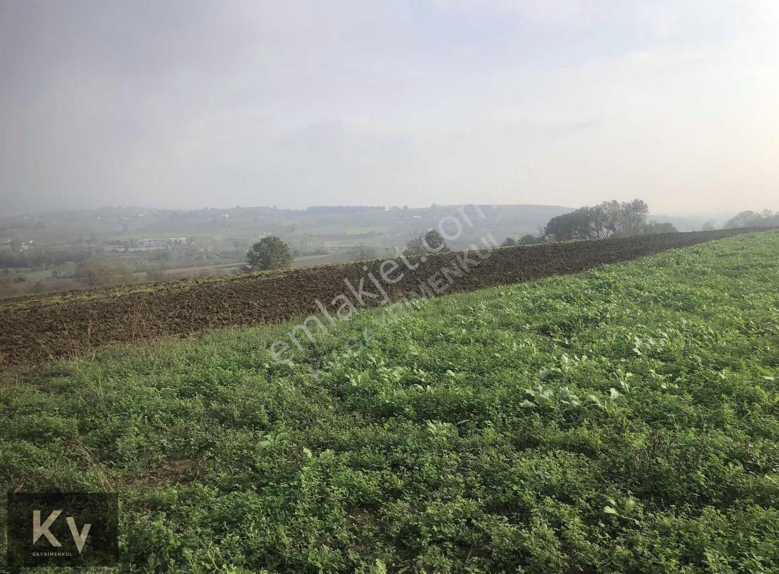 Kv Gayrimenkul'den Adapazarı Karadere'de 825 M² Satılık Tarla - Görsel 2