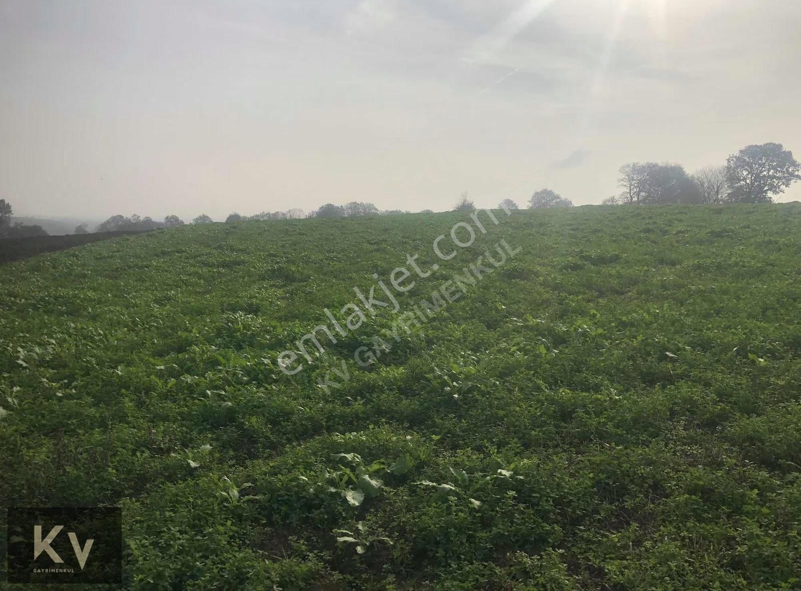 Kv Gayrimenkul'den Adapazarı Karadere'de 825 M² Satılık Tarla