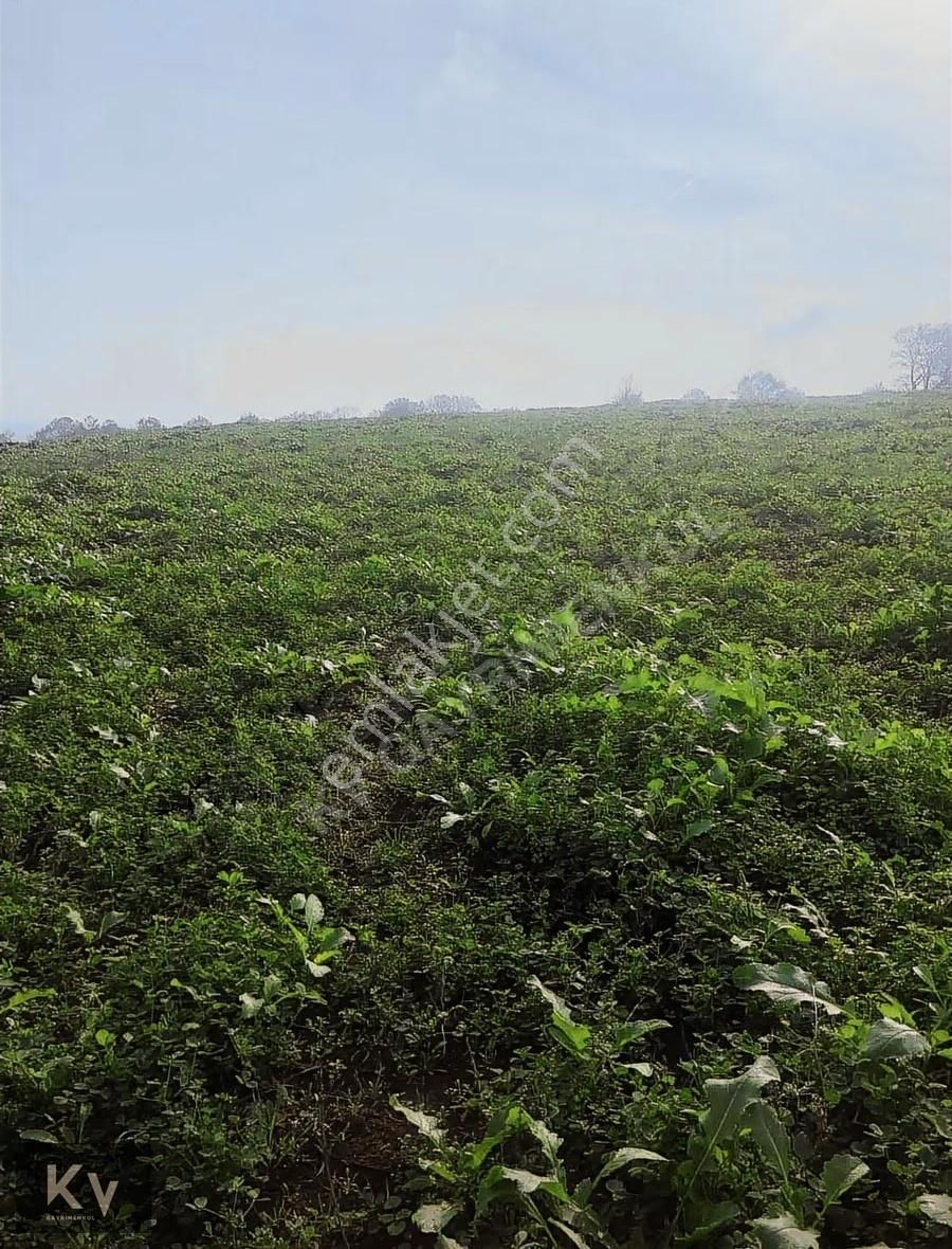 Kv Gayrimenkul'den Adapazarı Karadere'de 825 M² Satılık Tarla - Görsel 8