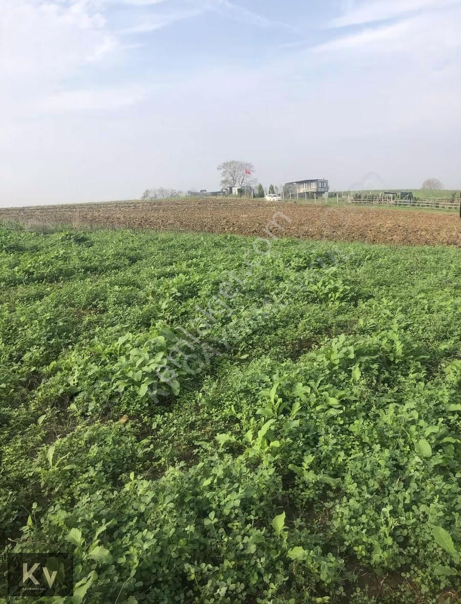 Kv Gayrimenkul'den Adapazarı Karadere'de 825 M² Satılık Tarla - Görsel 4