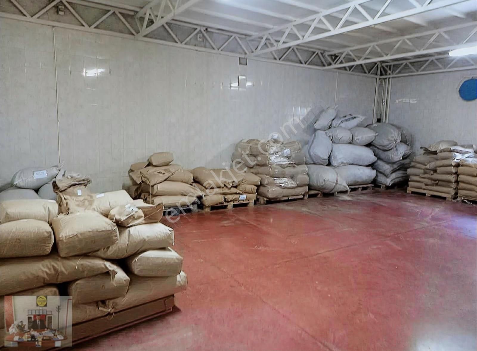 Organize De Herbiri 1500 M² 2 Adet Kiralık Depo Veya Fabrika - Görsel 17