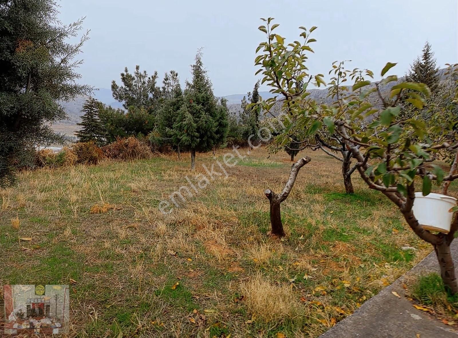 Organize De Herbiri 1500 M² 2 Adet Kiralık Depo Veya Fabrika - Görsel 11