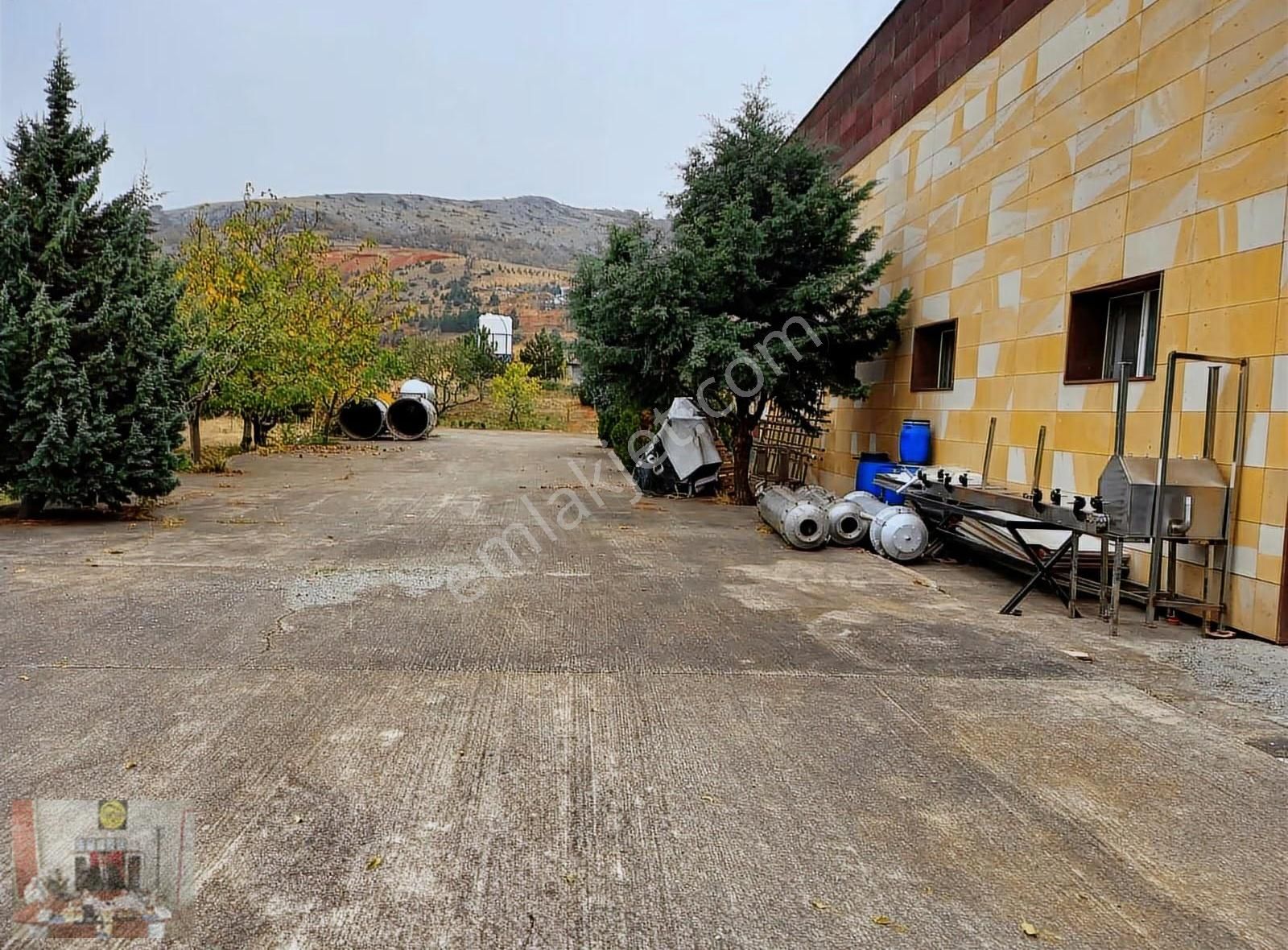 Organize De Herbiri 1500 M² 2 Adet Kiralık Depo Veya Fabrika - Görsel 21