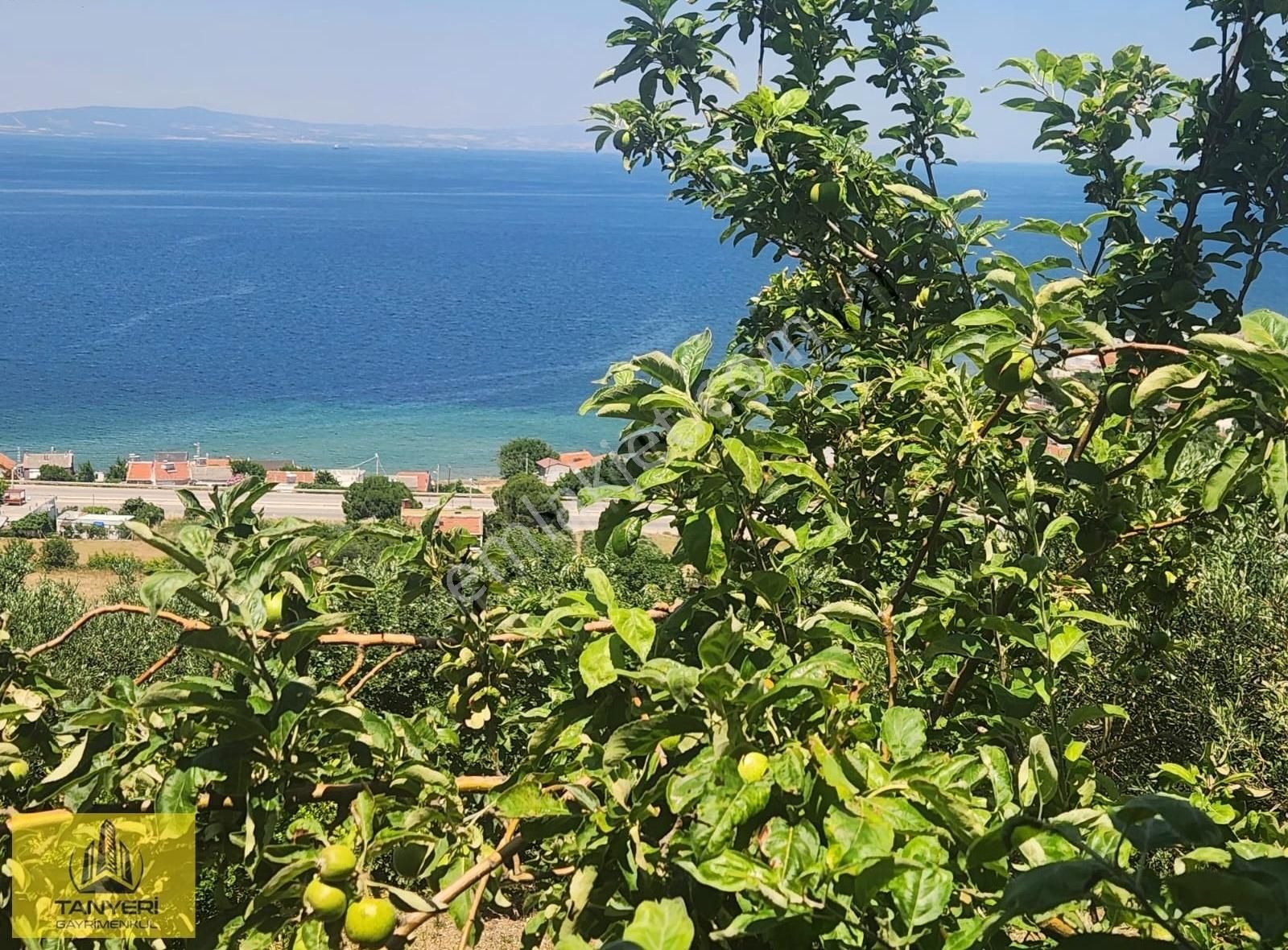 Çanakkale Lapseki Şevketiye Satılık Deniz Manzaralı Müstakil Ev. - Görsel 29