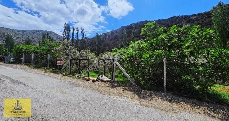 Çanakkale Ayvacık Kestanelik Köyü Satılık 1520 M2 Bahçe. - Görsel 5