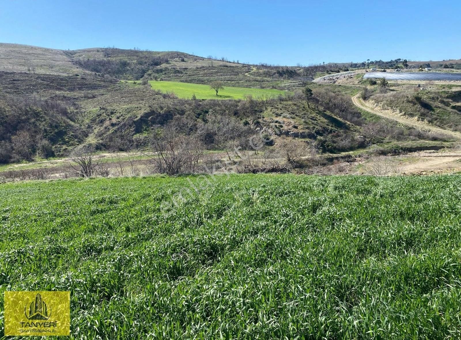 Yukarı Okçular Köyü Şehir Merkezine 10 Km Mesafede Satılık Tarla - Görsel 7