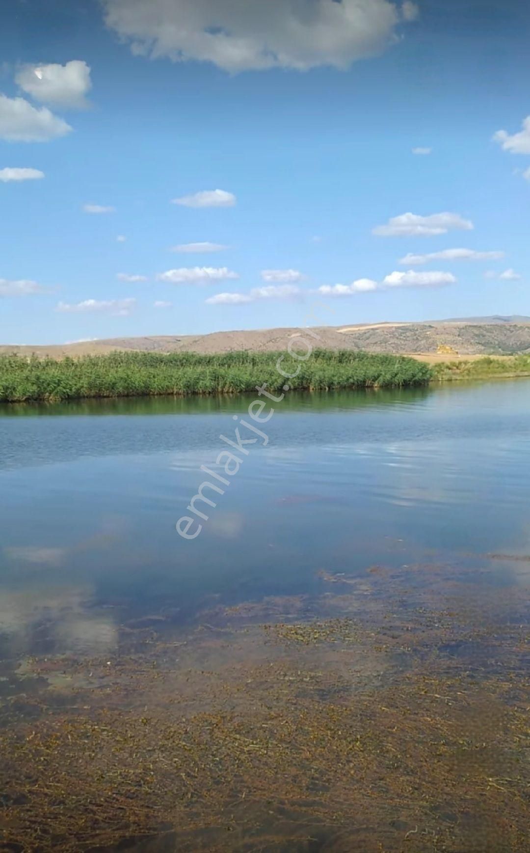 Sahibinden Müstakil Tapu Tarla Uşak Eşme Karaahmetli Köyü 23.131 M² Köy İmar Sınırında Araç Takaslı - Görsel 6