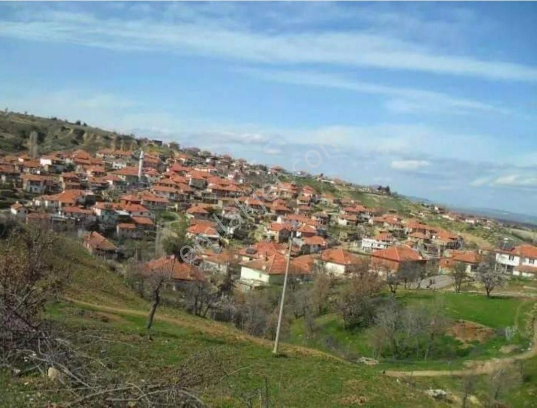 Sahibinden Müstakil Tapu Tarla Uşak Eşme Karaahmetli Köyü 23.131 M² Köy İmar Sınırında Araç Takaslı