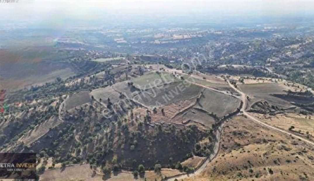 Sahibinden Müstakil Tapu Tarla Uşak Eşme Karaahmetli Köyü 23.131 M² Köy İmar Sınırında Araç Takaslı - Görsel 8