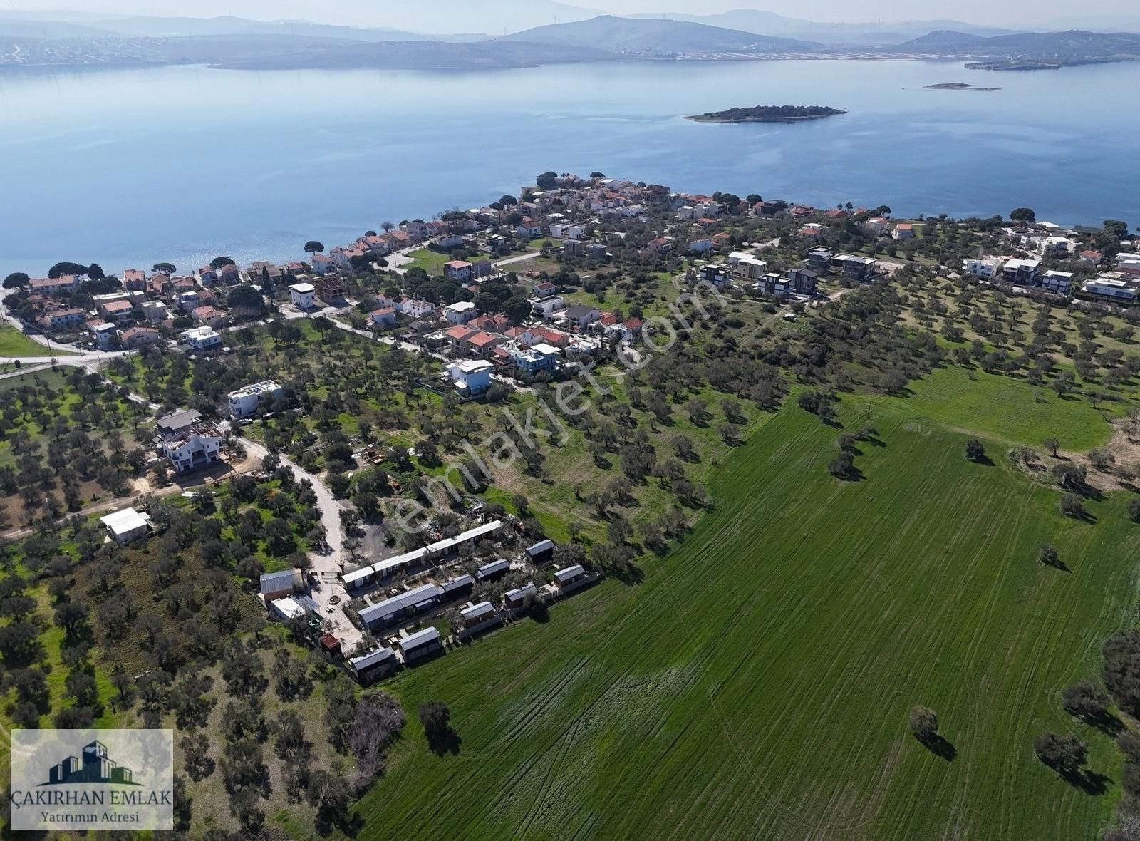 Denize, Göle Ve İmara Yakın Marina Bölgesi Satılık Zeytinlik - Görsel 7