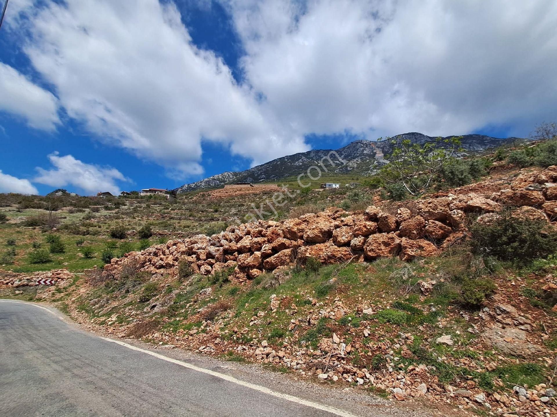 621 Köy Yerleşim Yeri İçinde Yerimiz - Görsel 7