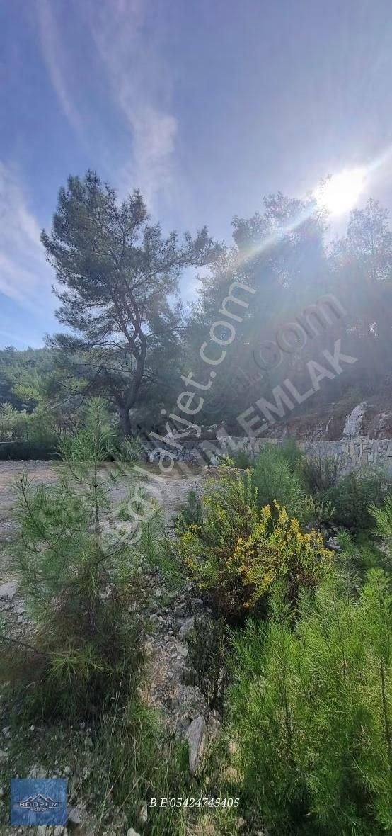 Bodrum Güvercinlik Te Deniz Manzaralı İmarlı Arsa - Görsel 3