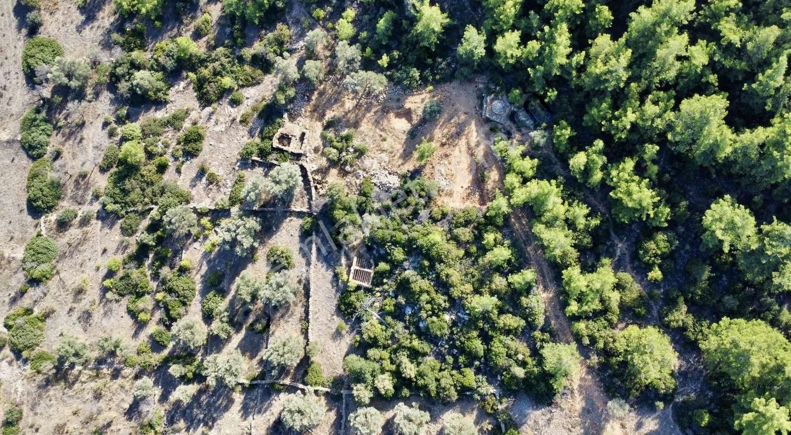 Bodrum Yalıçiftlik'te Müstakil 1350 M² Deniz Manzaralı Tarla - Görsel 2