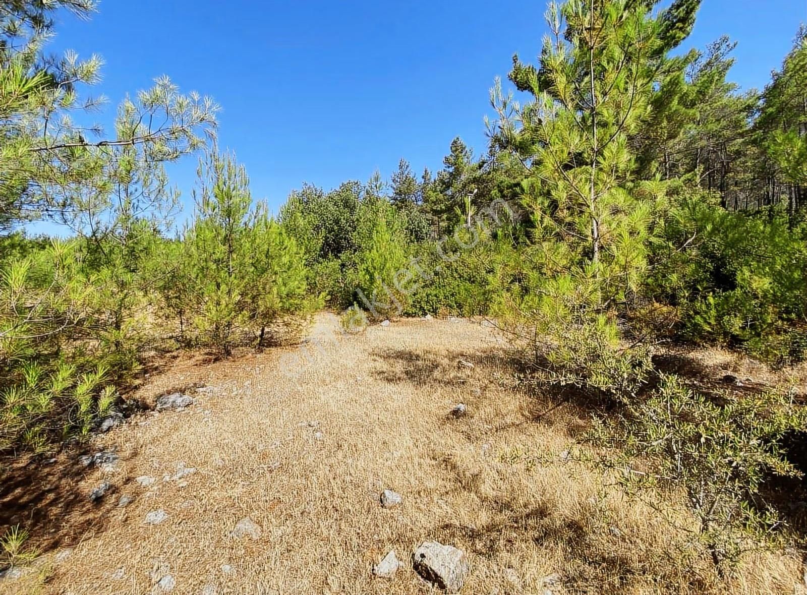 Bodrum Mazı'da Satılık Anayola Cepheli 640 M2 Tarla - Görsel 2