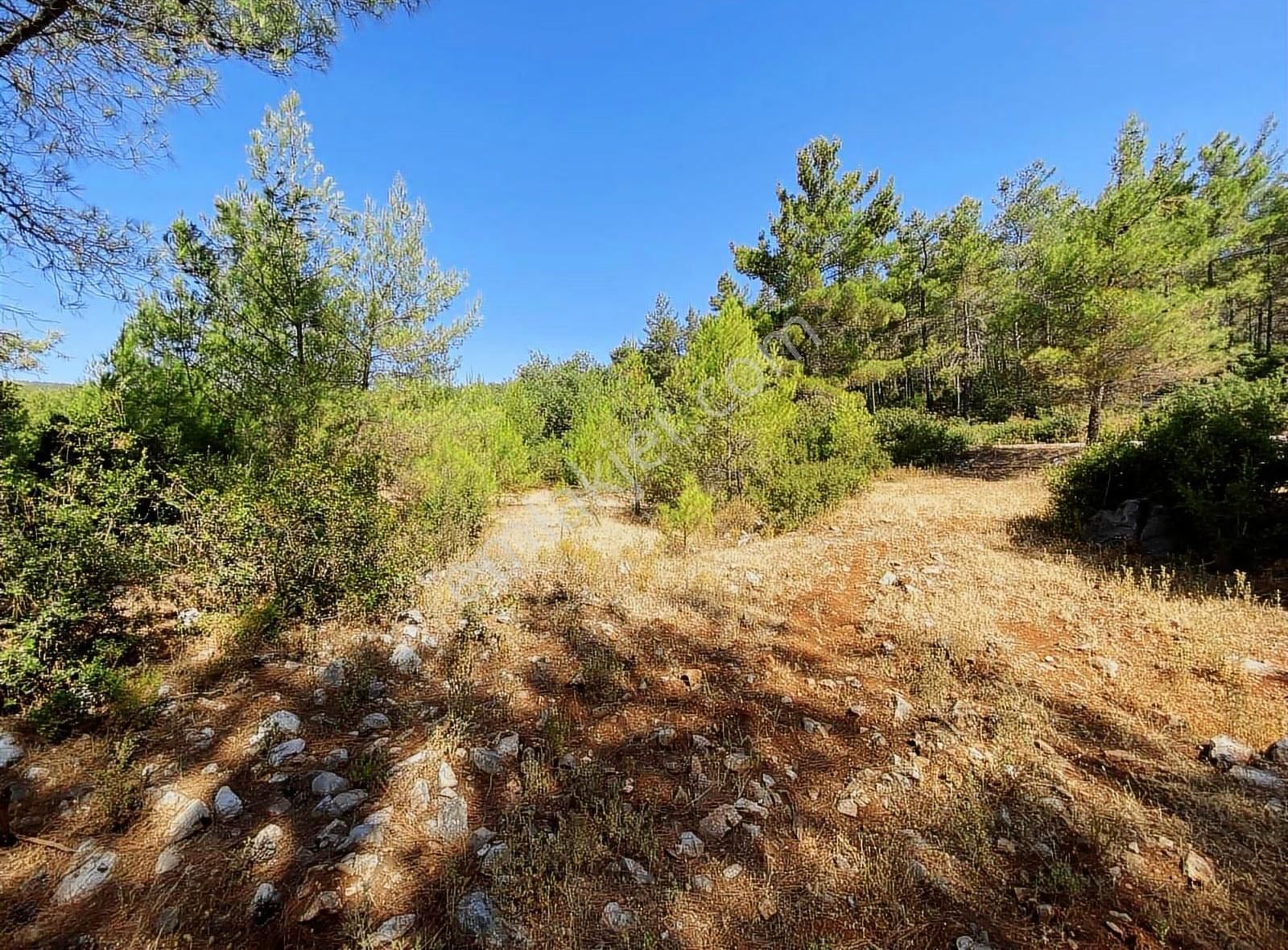 Bodrum Mazı'da Satılık Anayola Cepheli 640 M2 Tarla - Görsel 5