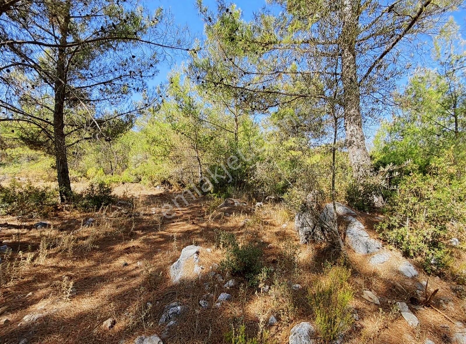 Bodrum Mazı'da Satılık Anayola Cepheli 640 M2 Tarla - Görsel 3