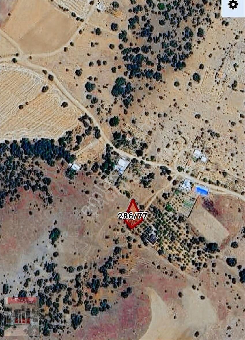 ''çağrı Emlak'tan Şehrin Gürültüsünden Uzak 585m2 Hazır Bahçelik