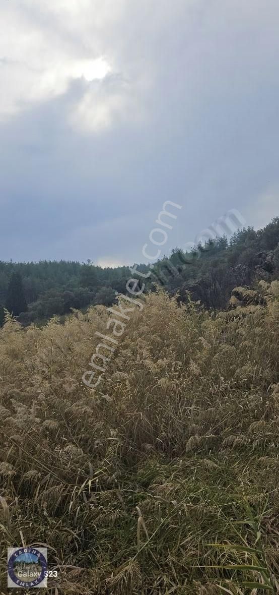 Muğla Yatağan Yava'da Asfalt Cepheli Tarla - Görsel 6