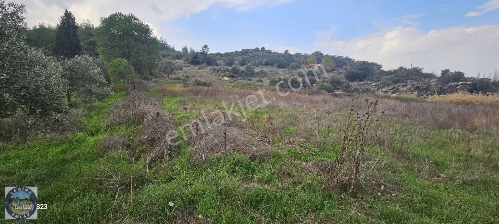 Muğla Yatağan Yava'da Asfalt Cepheli Tarla - Görsel 7