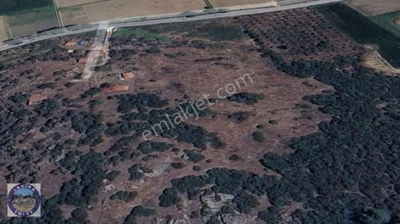 Muğla Yatağan Yava'da Asfalt Cepheli Tarla - Görsel 8